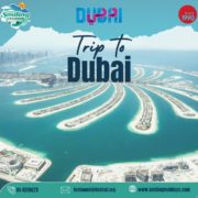 Travel Agency for Dubai in Nepal
